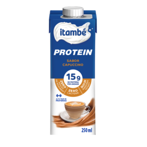 Kit 6 Bebida Proteica Whey Itambé Capuccino 250ml 15g Proteína